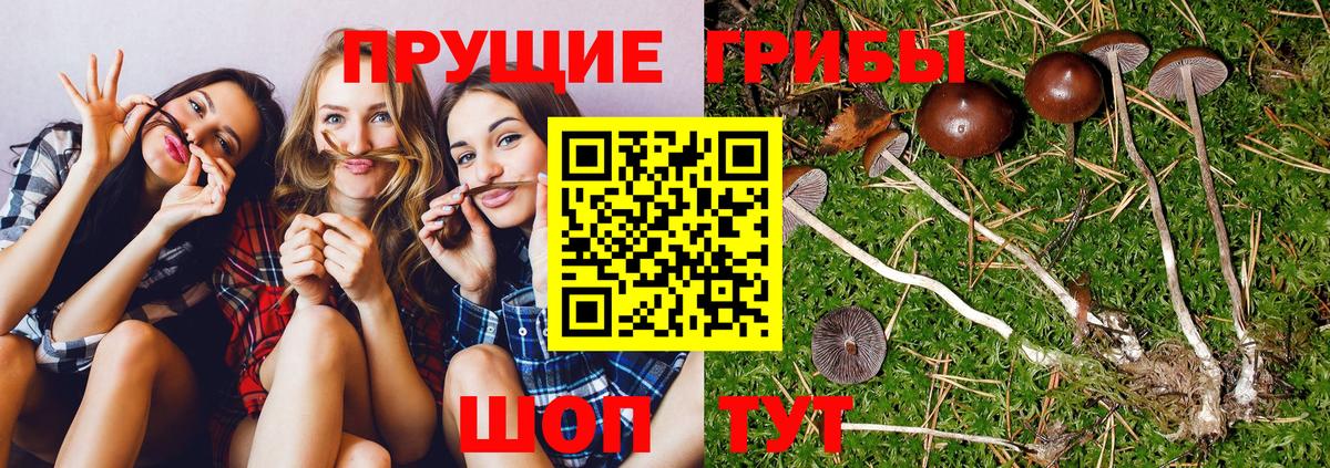 Псилоцибиновые грибы Magic Shrooms Железноводск