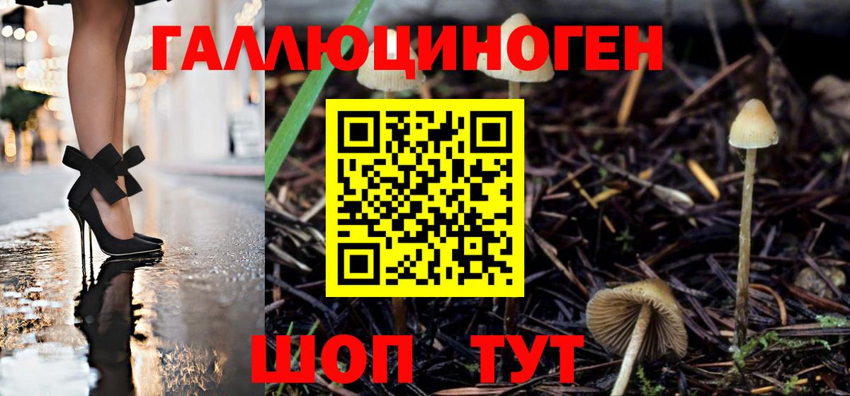 Галлюциногенные грибы прущие грибы  Вход с VPN  Псилоцибиновые грибы ЛСД  как найти закладки  Железноводск 