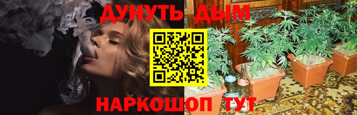 Бошки Шишки Bruce Banner  Вход с VPN  МАРИХУАНА планчик  Железноводск  Конопля Amnesia  МАРИХУАНА Ganja 